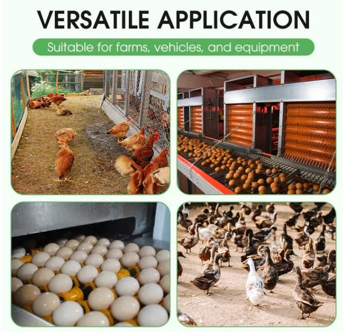 Poultry Farm & Equipment Disinfiecant Powder 100 gm Pack of 1